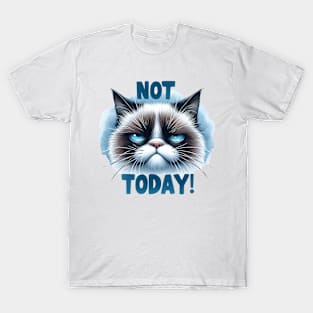 Not today Funny Cat Quote Hilarious Sayings Humor Gift T-Shirt